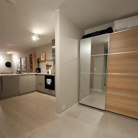 公寓 Aros Seaside With Pool, Jacuzzi & Sauna 克里斯蒂安桑